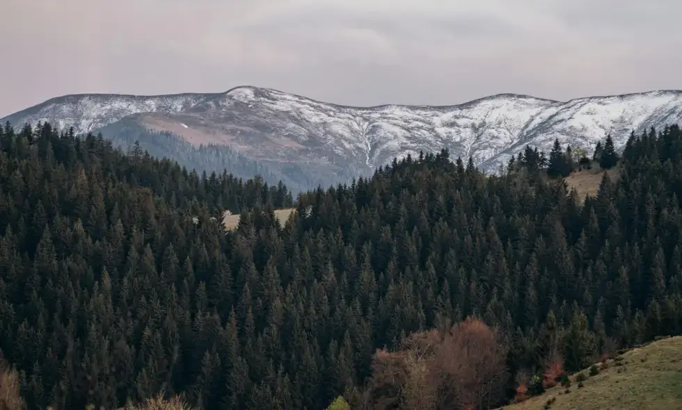 Kupovina rumunske e-vinjete i putni saveti za putovanje